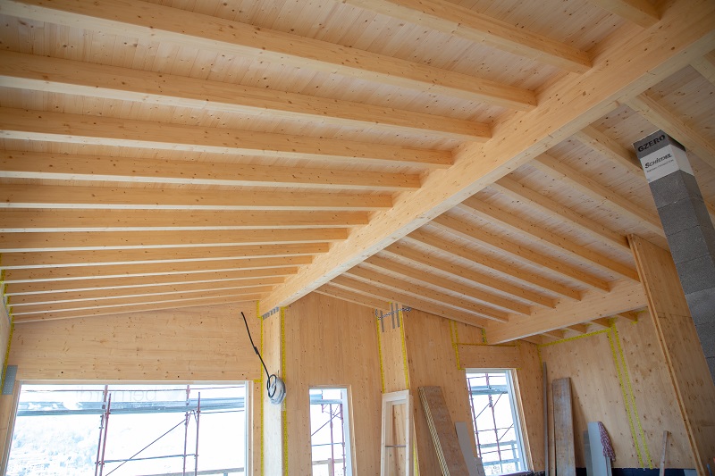 C Legno Car 2