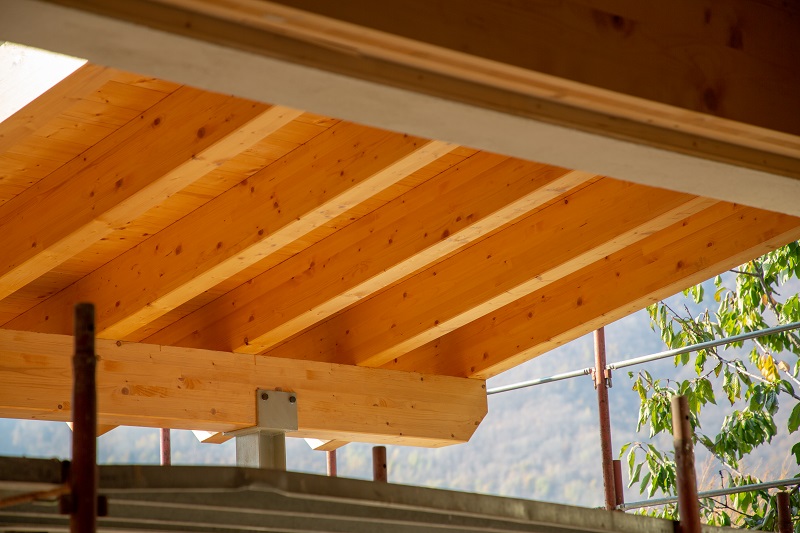 C Legno Car 3