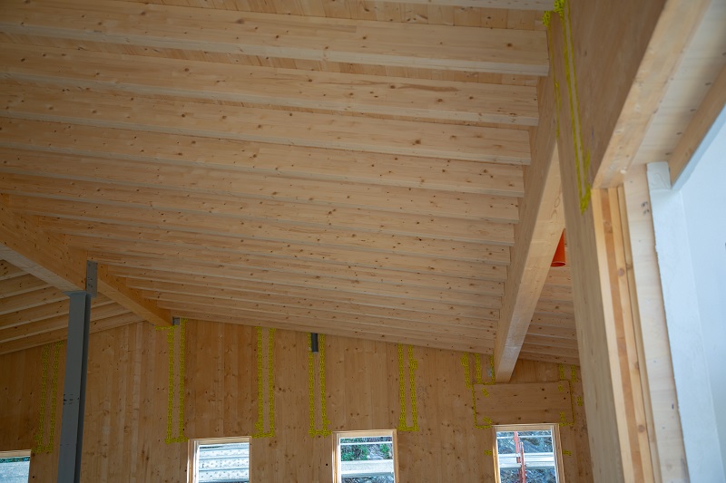 C Legno Car 5